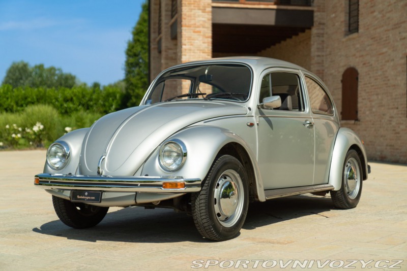 Volkswagen Brouk Maggiolone