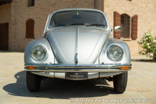 Volkswagen Brouk Maggiolone 1982
