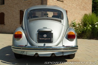 Volkswagen Brouk Maggiolone 1982