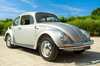 Volkswagen Brouk Maggiolone 1982