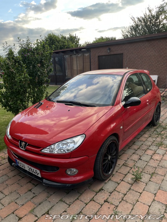 Peugeot 206 RC 2004