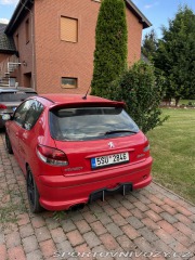 Peugeot 206 RC 2004