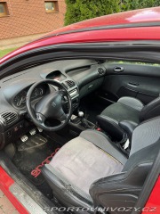 Peugeot 206 RC 2004