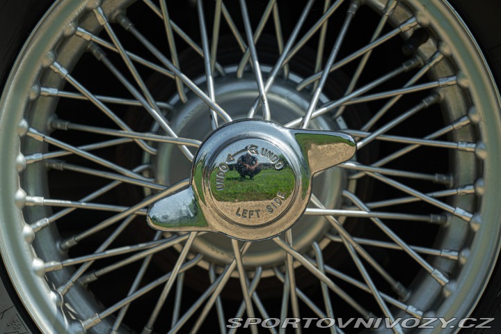 Ostatní značky Ostatní modely Triumph BURLINGTON ARROW 1963