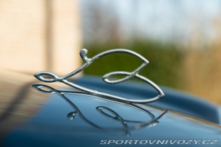 Fiat 500 1500 E Vittoria Balbo 1950