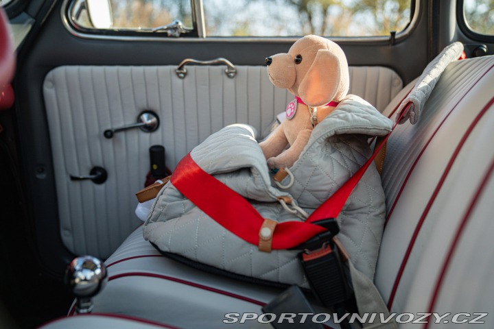 Fiat 500 Freestyle 1971