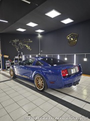 Ford Mustang Saleen 2008