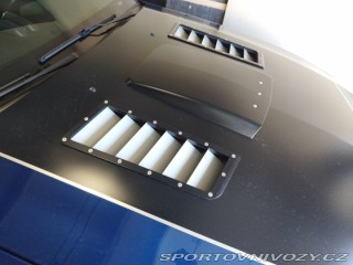 Ford Mustang Saleen 2008