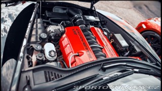 Chevrolet Corvette C 6 Loma GT2 2007