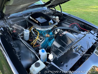 Pontiac Trans Am  1979