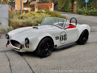 Cobra 427 2011