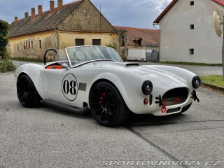 Cobra 427 2011