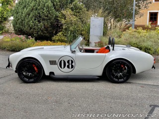 Cobra 427 2011