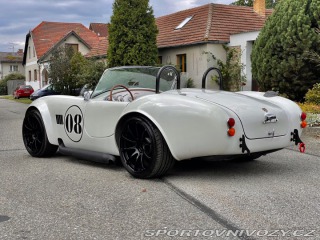 Cobra 427 2011