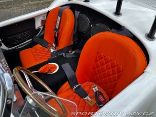 Cobra 427 2011