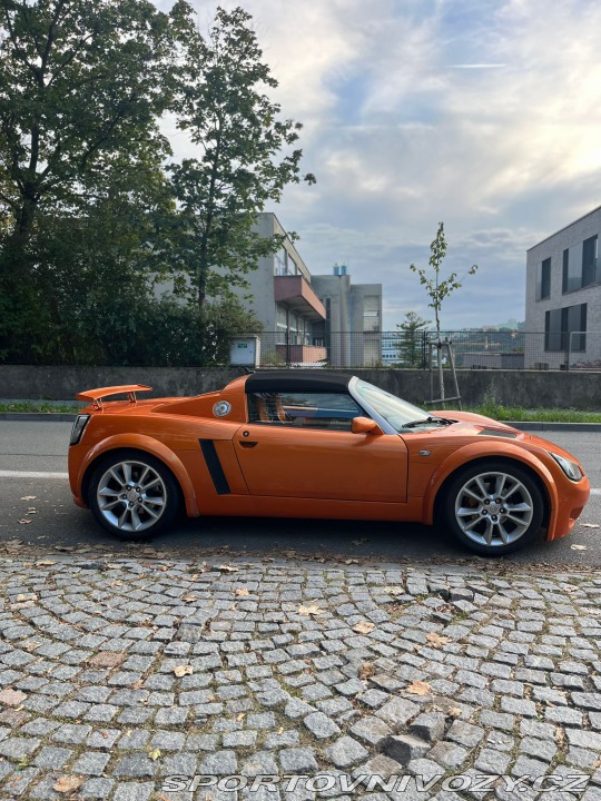 Opel Speedster 2,2 2002