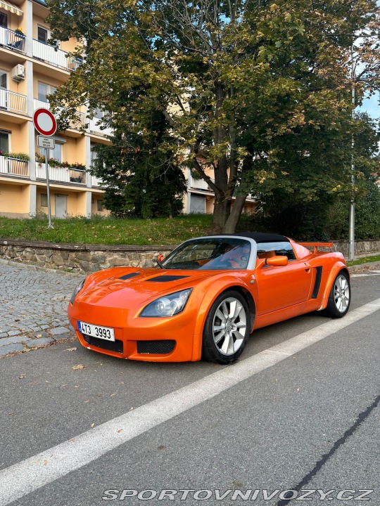 Opel Speedster 2,2 2002