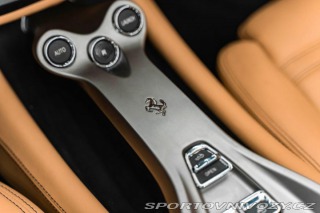 Ferrari California 4.3 V8, Magneride, Kamera 2010