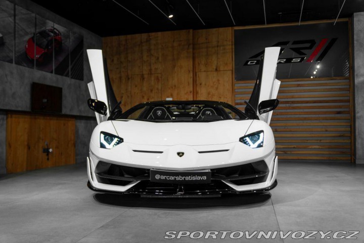 Lamborghini Aventador BR SVJ Roadster, FULL CAR 2020