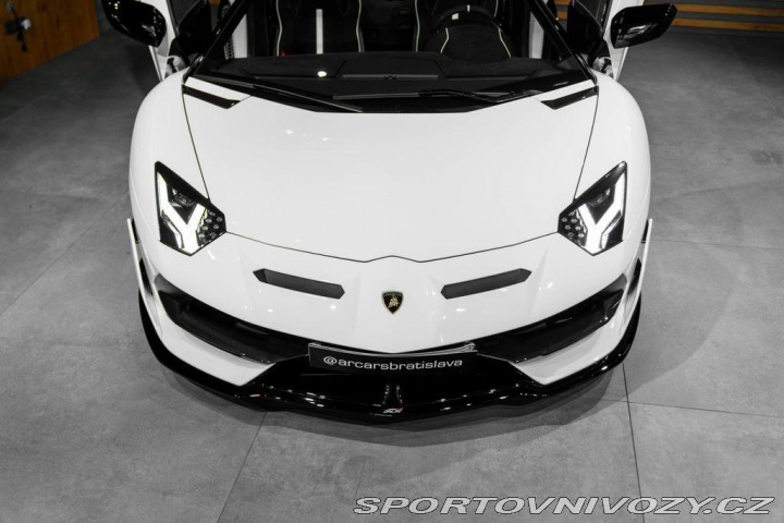 Lamborghini Aventador BR SVJ Roadster, FULL CAR 2020