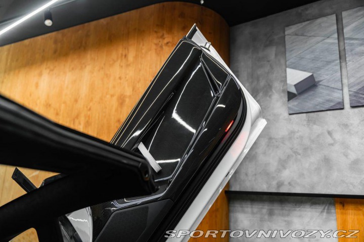 Lamborghini Aventador BR SVJ Roadster, FULL CAR 2020