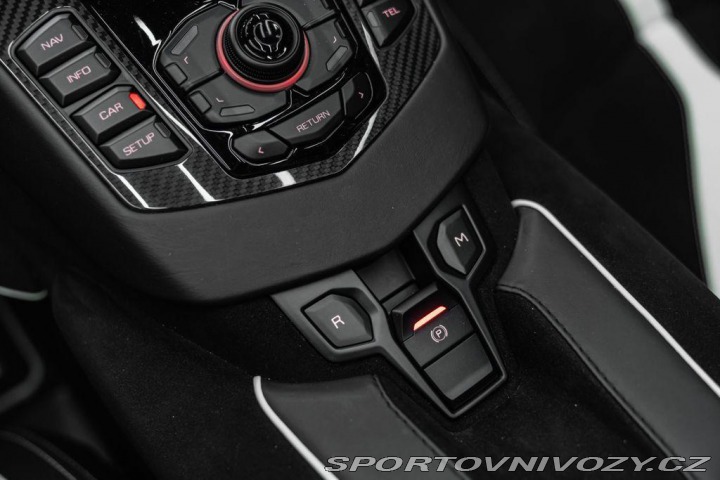 Lamborghini Aventador BR SVJ Roadster, FULL CAR 2020