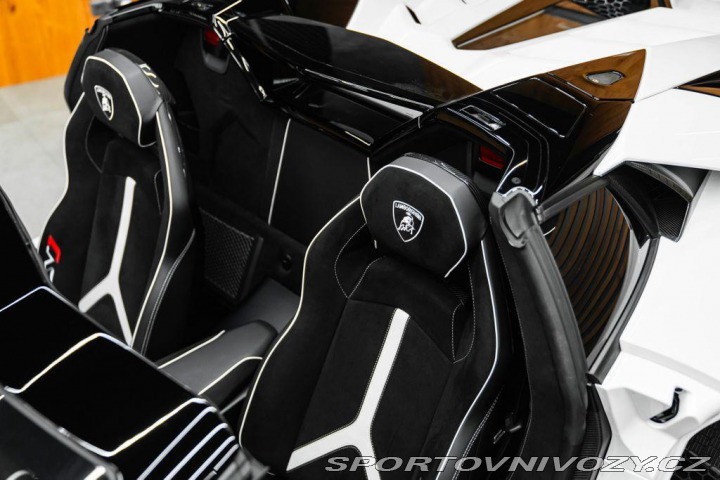 Lamborghini Aventador BR SVJ Roadster, FULL CAR 2020