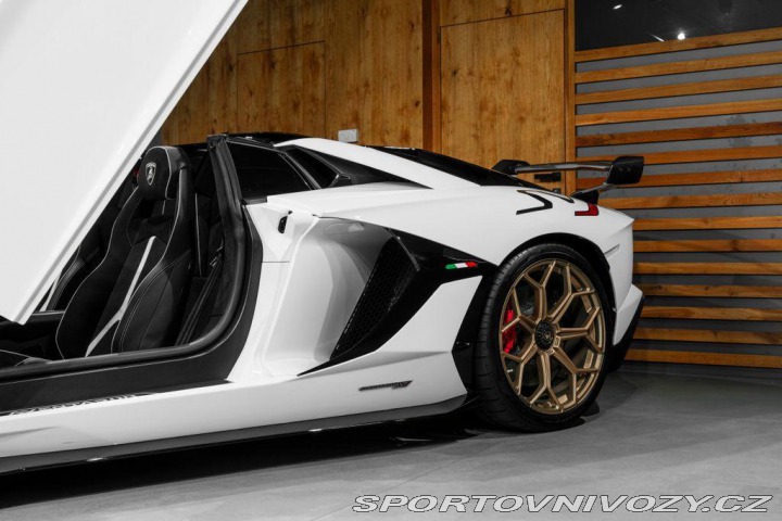 Lamborghini Aventador BR SVJ Roadster, FULL CAR 2020