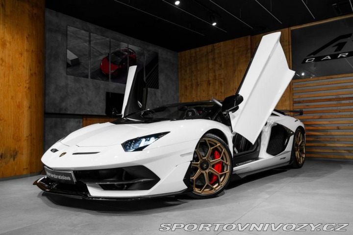 Lamborghini Aventador BR SVJ Roadster, FULL CAR 2020