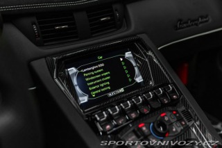 Lamborghini Aventador BR SVJ Roadster, FULL CAR 2020