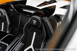Lamborghini Aventador BR SVJ Roadster, FULL CAR 2020