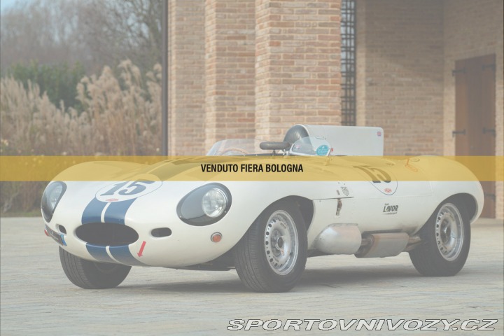 Jaguar D-Type Replica 1977