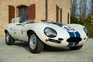 Jaguar D-Type Replica 1977