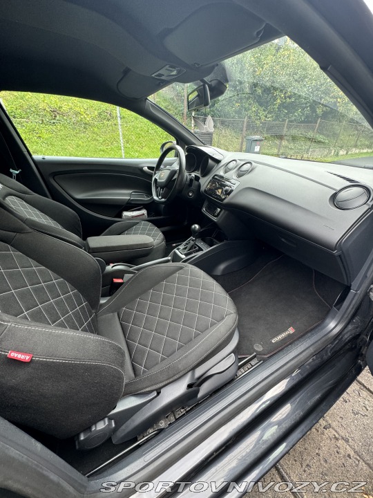 Seat Ibiza Cupra 2010