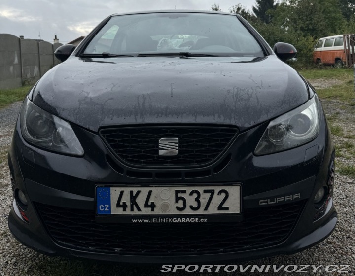 Seat Ibiza Cupra 2010