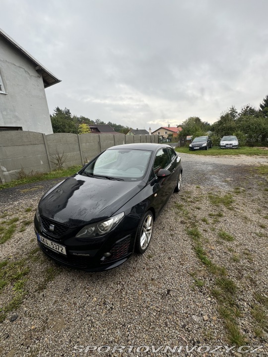 Seat Ibiza Cupra 2010