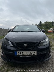 Seat Ibiza Cupra 2010