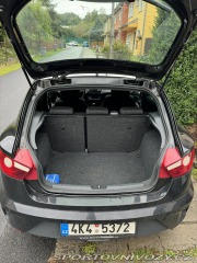 Seat Ibiza Cupra 2010