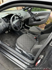 Seat Ibiza Cupra 2010