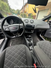 Seat Ibiza Cupra 2010