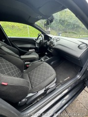 Seat Ibiza Cupra 2010