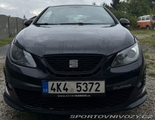 Seat Ibiza Cupra 2010