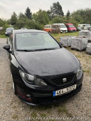 Seat Ibiza Cupra 2010