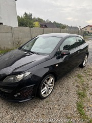 Seat Ibiza Cupra 2010