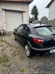 Seat Ibiza Cupra 2010