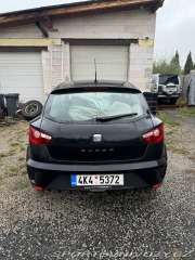 Seat Ibiza Cupra 2010