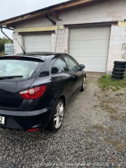 Seat Ibiza Cupra 2010