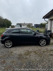 Seat Ibiza Cupra 2010
