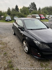 Seat Ibiza Cupra 2010