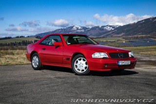 Mercedes-Benz SL SL 600 Roadster R129 1993